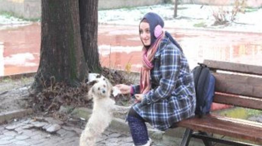 &Ccedil;ocuklardan Yaralı K&ouml;peğe Yardım Eli