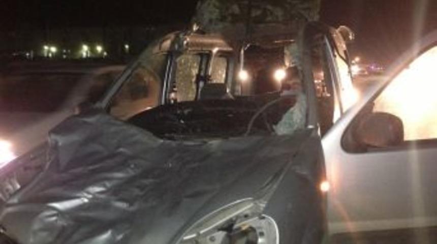 Aracın &Ouml;n Camından Girip Arka Camından &Ccedil;ıkan At &Ouml;ld&uuml;, Şof&ouml;r Yaralı