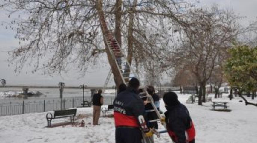 İtfaiye karga i&ccedil;in seferber oldu
