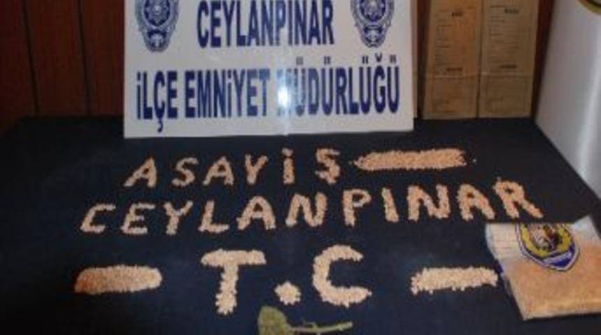 Ceylanpınar&rsquo;da Uyuşturucu Operasyonu