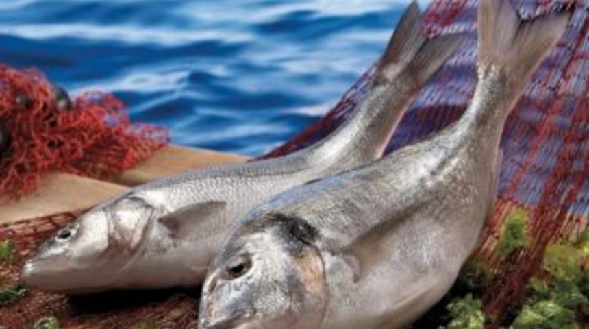 Ege Tarımda Hedef B&uuml;y&uuml;tt&uuml;