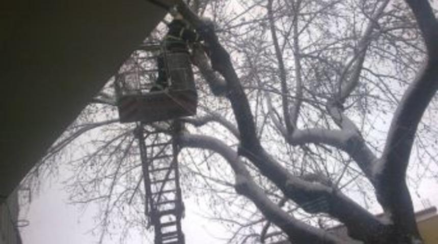 İtfaiyenin Kedi Operasyonu