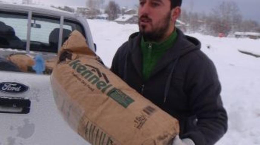 Tatvan&rsquo;da Sokak Ve Yaban Hayvanlar İ&ccedil;in Yem Bırakıldı