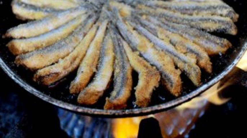 (&ouml;zel Haber) Denizden Sofraya Hamsinin Hikayesi