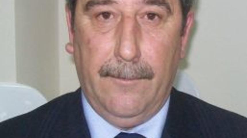 M&uuml;refte&rsquo;de Zeytin Alım Kampanyası Sona Erdi