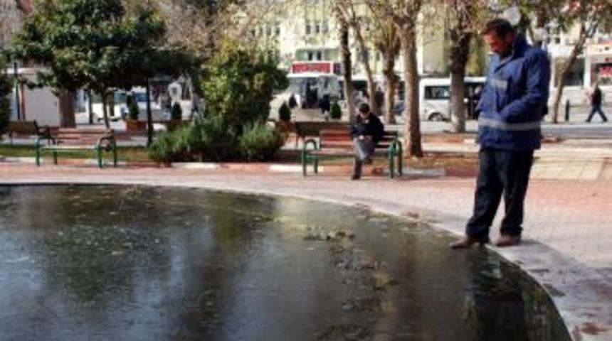 Adıyaman&rsquo;da S&uuml;s Havuzları Dondu