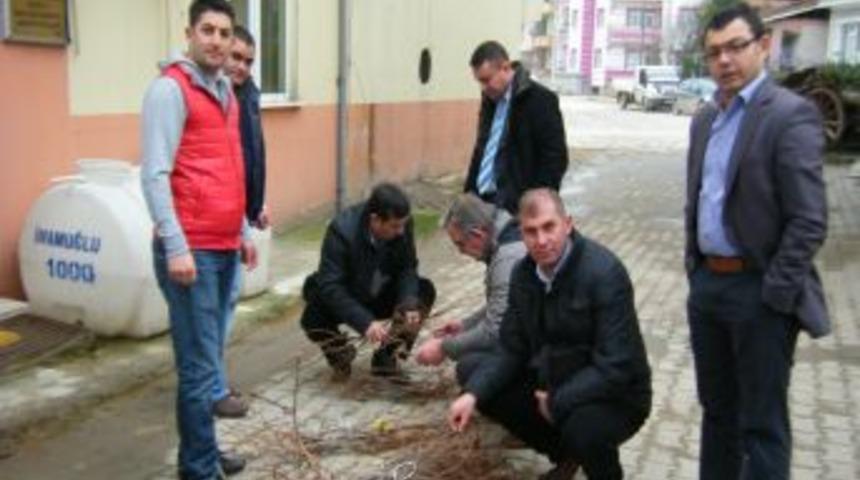 Vezirk&ouml;pr&uuml;'de 20 Bin &Uuml;z&uuml;m Fidanı Toprakla Buluştu