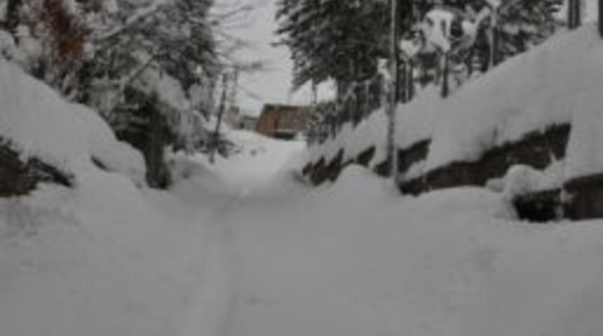 Bitlis'te Ara&ccedil;ları Korumak İ&ccedil;in İlgin&ccedil; Y&ouml;ntem