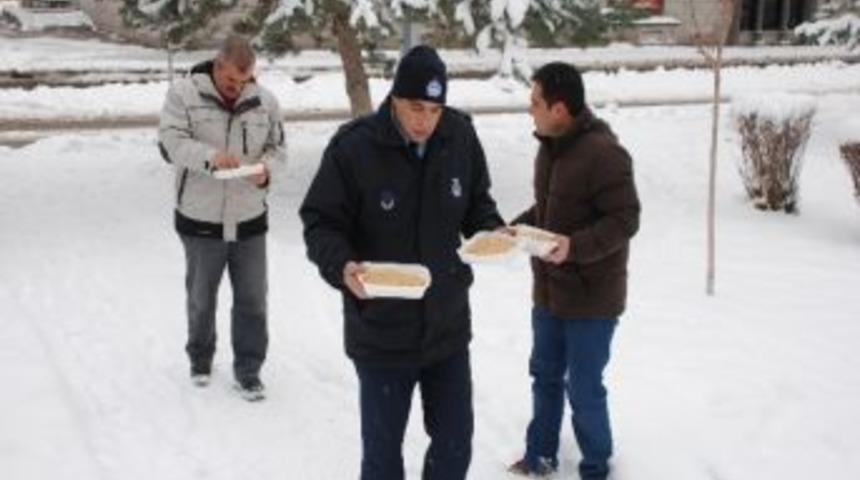 Sokak Hayvanlarına Ve Kuşlara Gıda Desteği