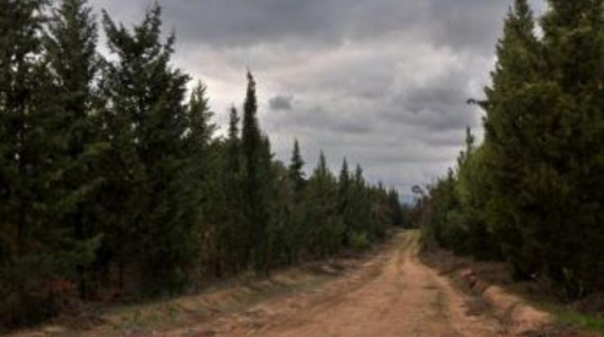 Yardop &Ccedil;alışmaları Tamamlandı