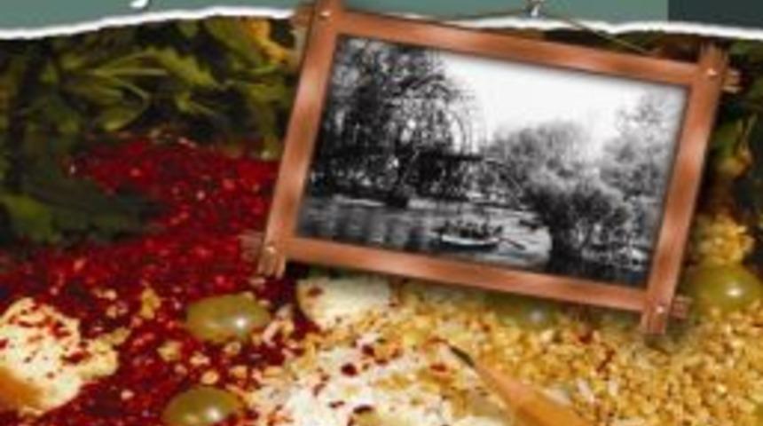 Yazar Necati Mert'in Kitabı Yayımlandı