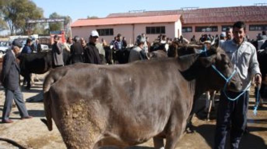 Elbistan'da Karantina Sona Erdi