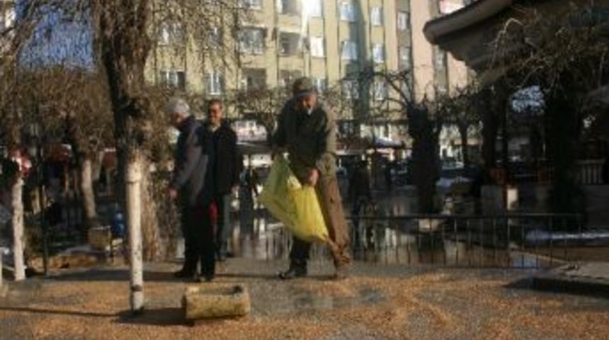 Kuşlar İ&ccedil;in Yem Bırakıldı
