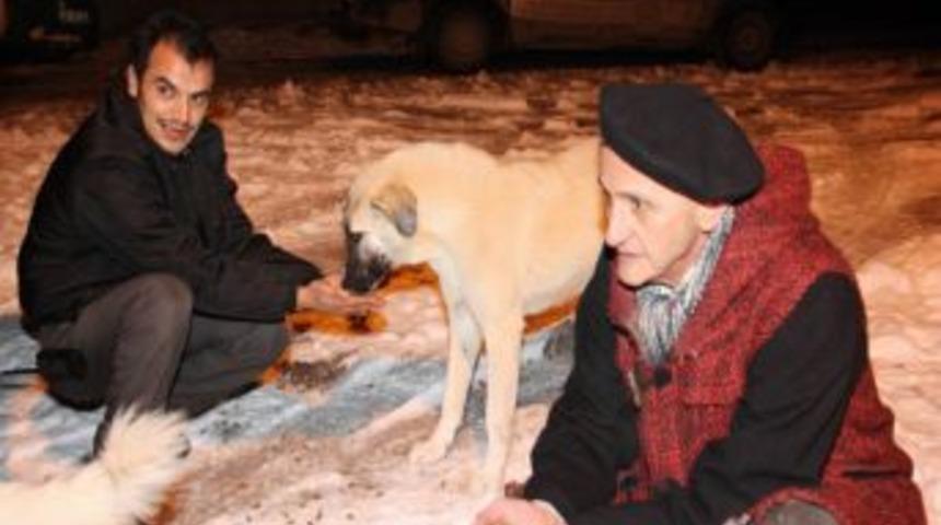Aksaray Belediyesi, Sokak Hayvanlarını Doyuruyor