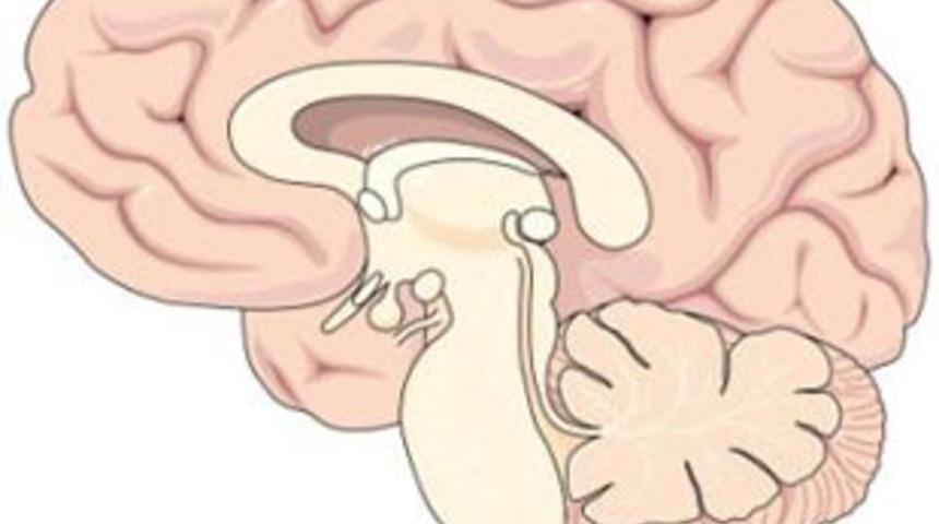 Doğru bildiğimiz yanlışlar