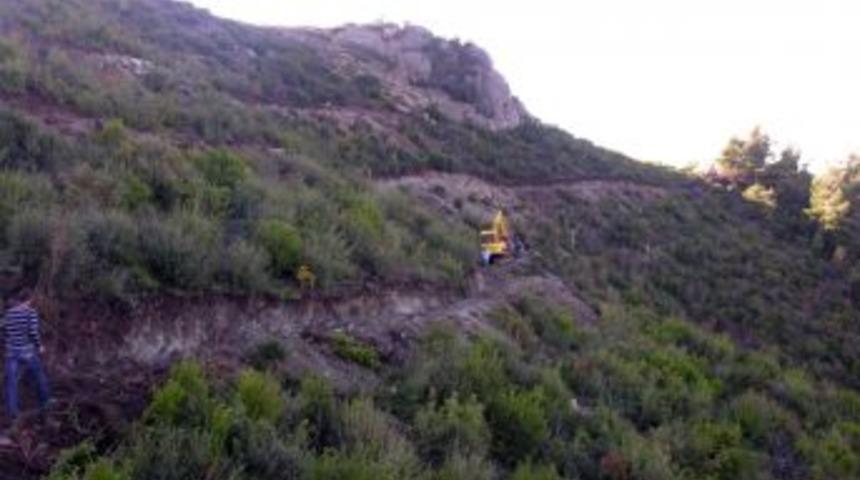 Bursa&rsquo;da 696 Hektar Saha Ağa&ccedil;landırıldı