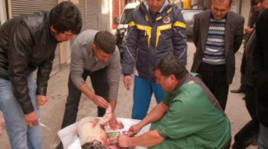 Vicdanlı Vatandaş, Minib&uuml;s&uuml;n &Ccedil;arptığı K&ouml;peği Ameliyat Ettirdi