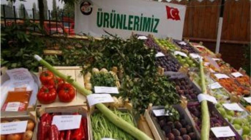 Sakarya&rsquo;da Bitkisel &Uuml;retimde Hasat &Ouml;ncesinde Pestisit (zirai İla&ccedil;) Kalıntısı Takibi Yapılıyor