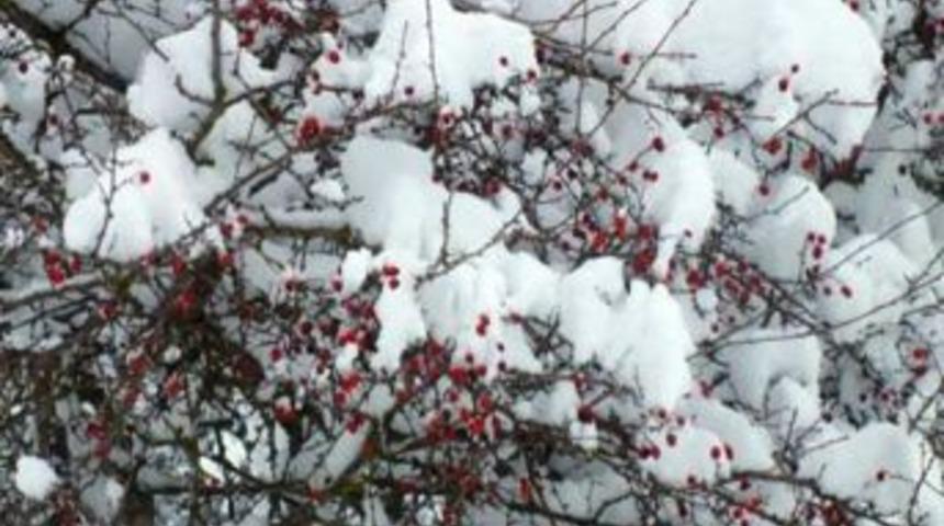 Poyrazlar&rsquo;dan Kar Manzaraları