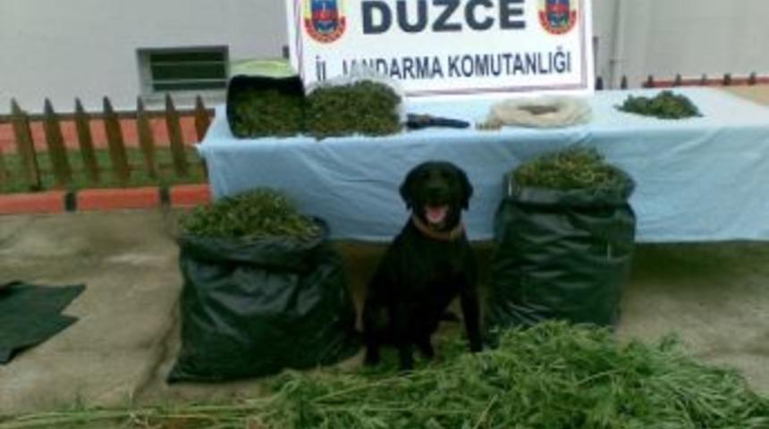 Olaylarda Artış Var