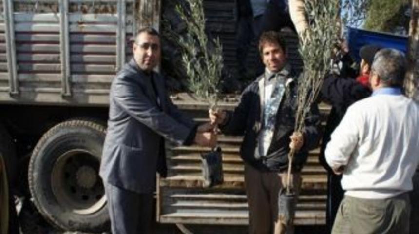 Bozcaada&rsquo;da 9 Bin Fidan Dağıtıldı