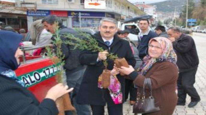Elmalı&rsquo;da İki Bin Fidan Dağıtıldı