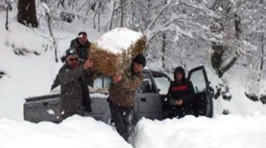Sakarya Orman Ve Su İşleri Şube M&uuml;d&uuml;rl&uuml;ğ&uuml; Ekipleri Doğaya Yem Bırakmaya Devam Ediyor