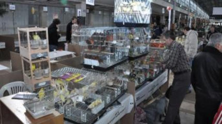 Şampiyon Kuşlar Bursa&rsquo;da Yarıştı