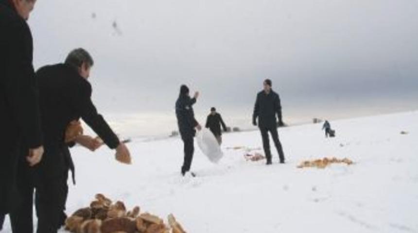 Yozgat'ta Yaban Hayvanları İ&ccedil;in Doğaya Yem Bırakıldı