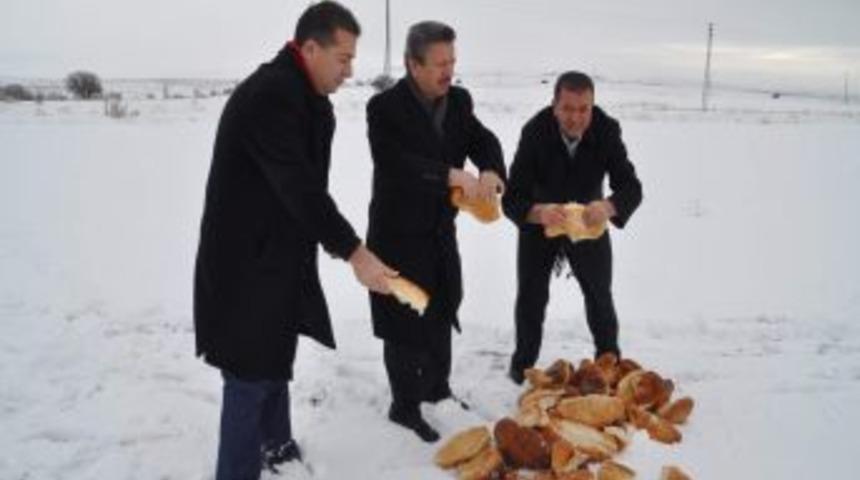 Yozgat Belediyesi, Sokak Ve Yaban Hayvanları I&ccedil;in Doğaya Yiyecek Bıraktı