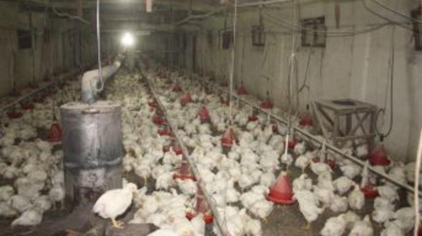 Hızla Eriyen Kar Suları Taşkın Ve Heyelana Sebep Oldu