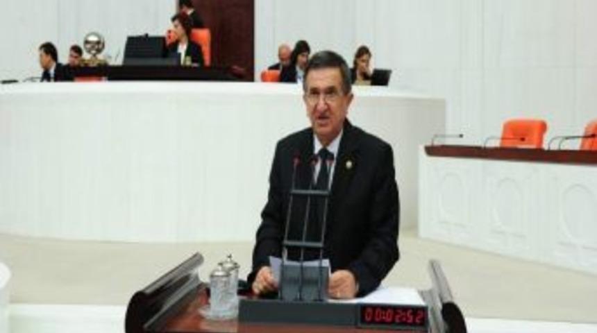 Telef Olan Hayvanlar Meclis G&uuml;ndeminde&hellip;
