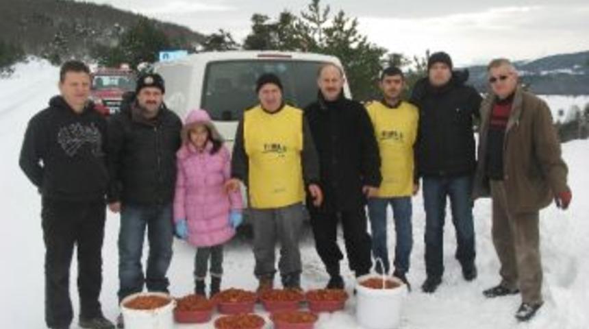 A&ccedil; Kalan Yaban Hayvanlarına 1 Ton Yiyecek