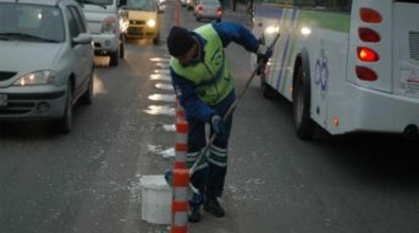 Belediye Ekiplerinden Dubalara Temizlik
