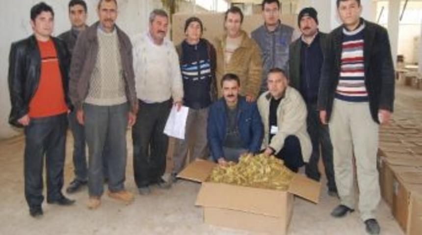 T&uuml;rk T&uuml;t&uuml;n&uuml; D&uuml;nya Piyasalarında Tutuluyor