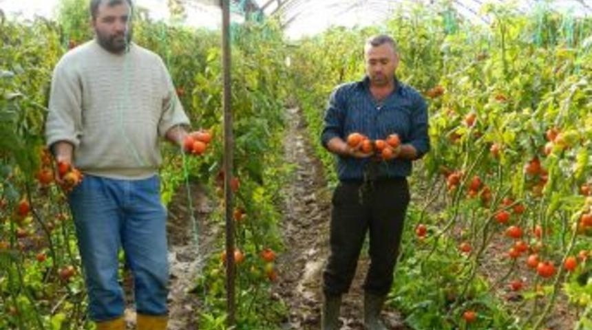Seraları &ouml;nce don, sonra sel vurdu
