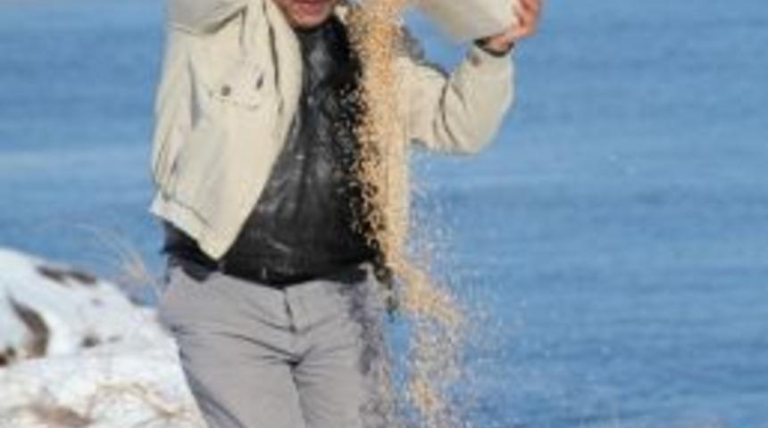 B&uuml;t&uuml;n Bu &Ccedil;abalar Canlılar İ&ccedil;in