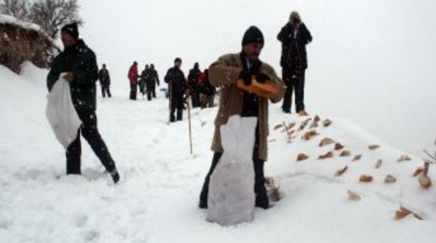 Kar Kaplanları Yaban Hayatı I&ccedil;in Yemleme Yaptı