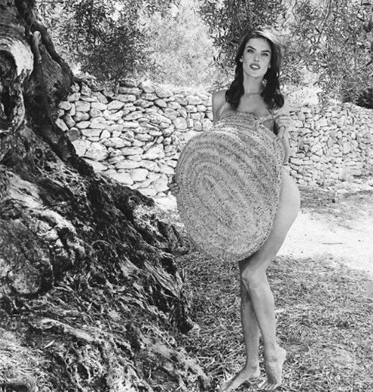 Nefesiniz kesilecek! Siz bir de onu zeytin toplarken görün G2