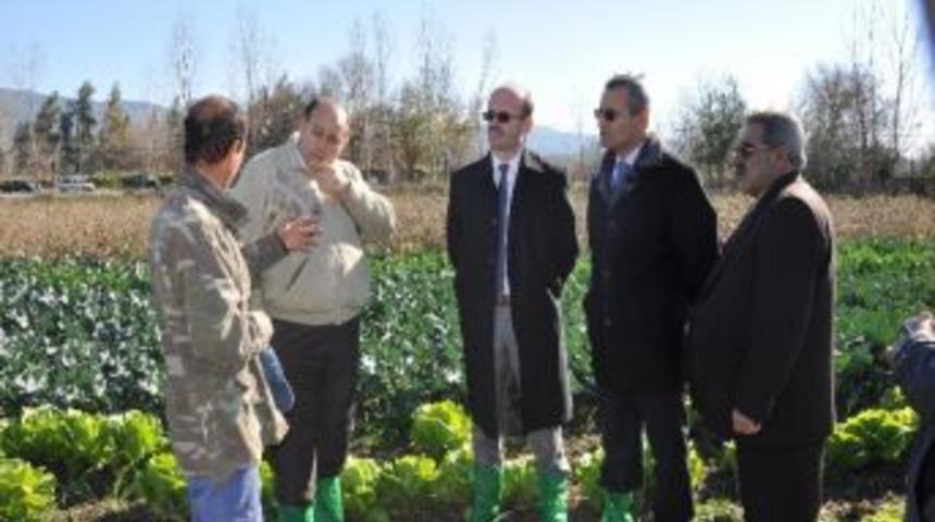 Andırın&rsquo;da Kışlık Sebze &Uuml;retiliyor