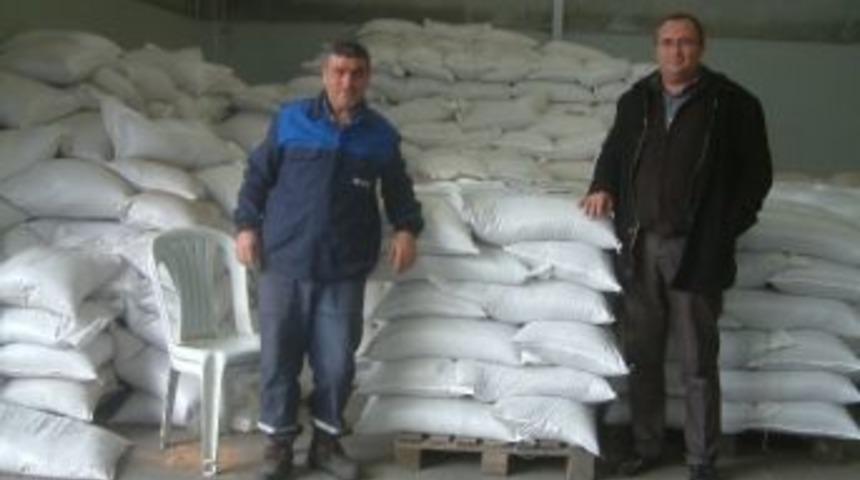 Zeytin &Ccedil;ekirdeği İlgi G&ouml;r&uuml;yor