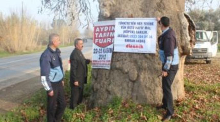 Tarihi &Ccedil;ınar Ağacını Reklam Panosuna &Ccedil;evirdiler