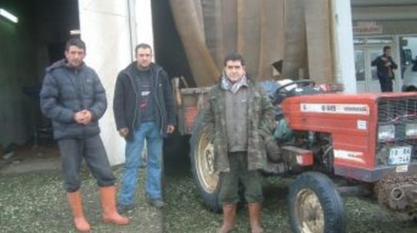 Burhaniye&rsquo;de &Ccedil;obanların Zeytin Yaprağı Kuyruğu