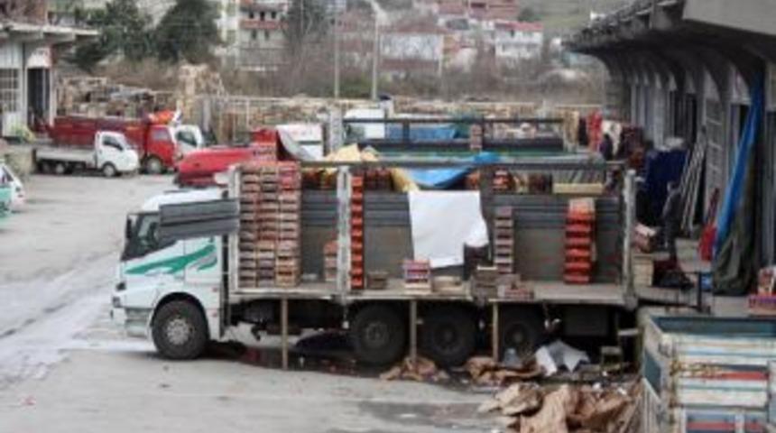 Yalovalılar 22 Bin Ton Sebze Ve Meyve Yedi