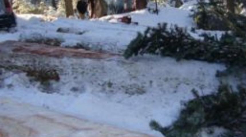 Kastamonu&rsquo;da Kaliteli Sahalarda 2013 Kış &Uuml;retimleri Başladı