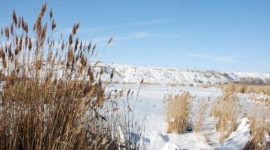 (&ouml;zel Haber) Soğuklar Kuş Cennetini Dondurdu