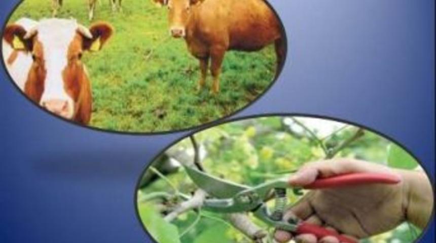 &ldquo;s&uuml;t Sığırcılığı Ve Budamacı&rdquo; Eğitimi Verilecek