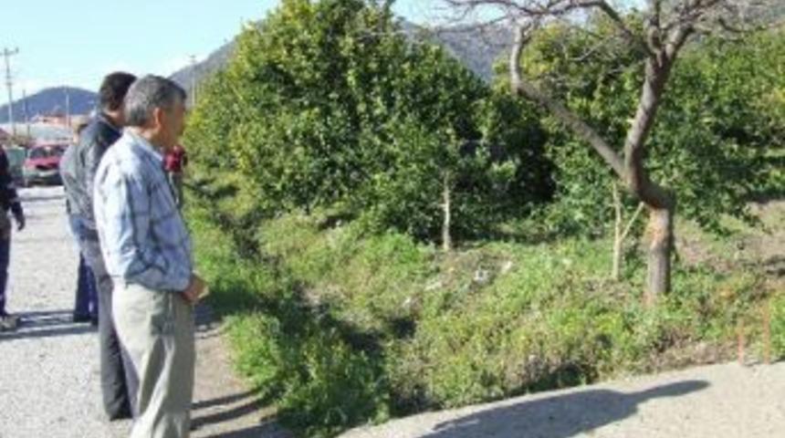 Otomobil Portakal Bah&ccedil;esine U&ccedil;tu; 1 Yaralı