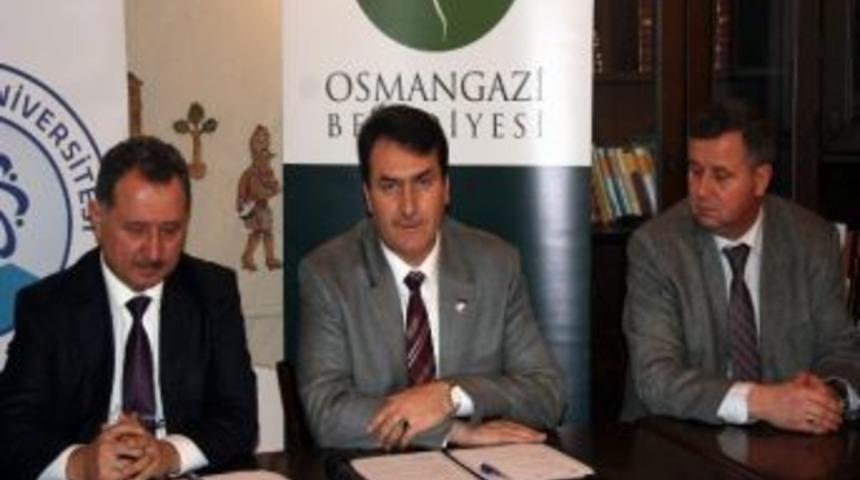 Osmangazi İle Btu Arasında Sportif İş Birliği