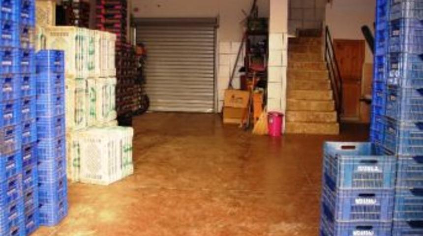 Taze Fas&uuml;lye Rekora Koşuyor